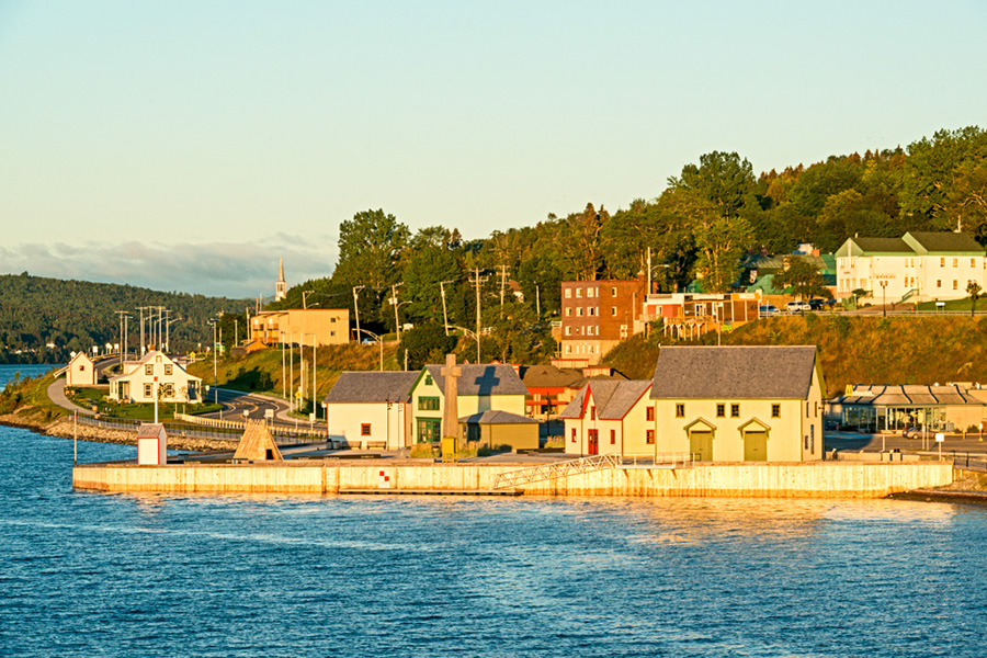 _DSC6519