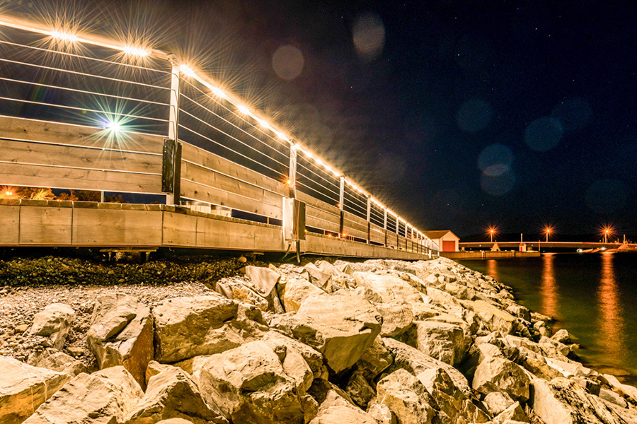 _DSC6594