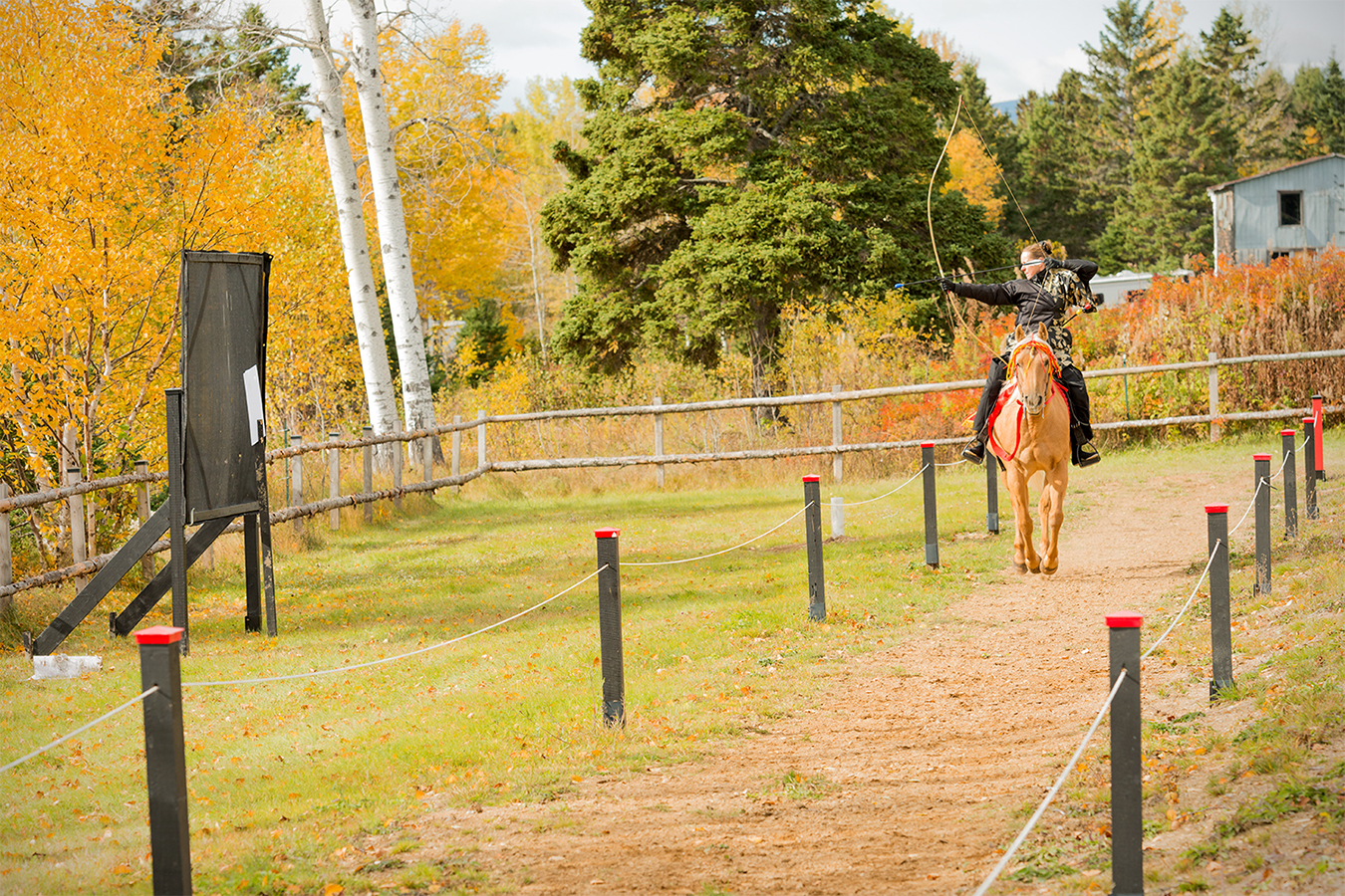 032_oct_2018_BUO_KAITAI_Gaspe_JGratton_photo__DSC4824