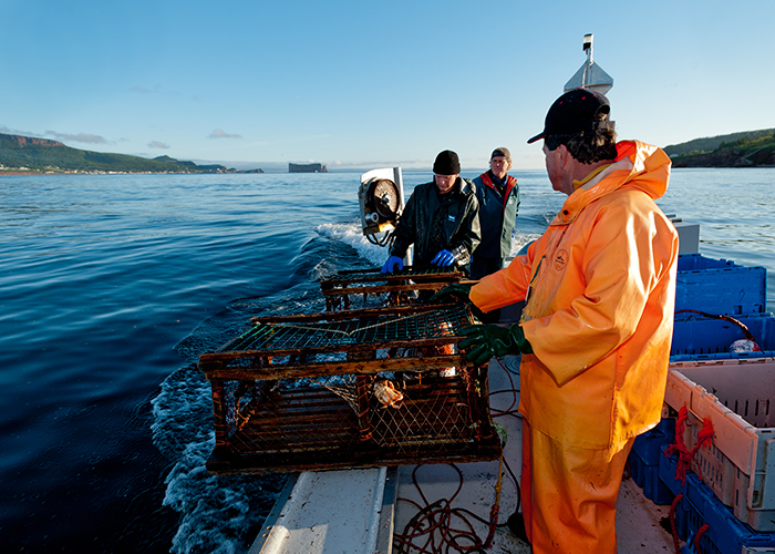 _DSC6761