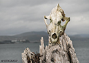JGratton_Photo_SELECT-2016_22