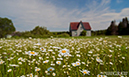 JGratton_Photo_SELECT-2016_10
