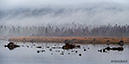 JGratton_Photo_SELECT-2016_26