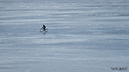 JGratton_Photo_SELECT-2016_05