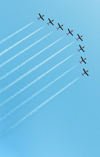 DSC_7520